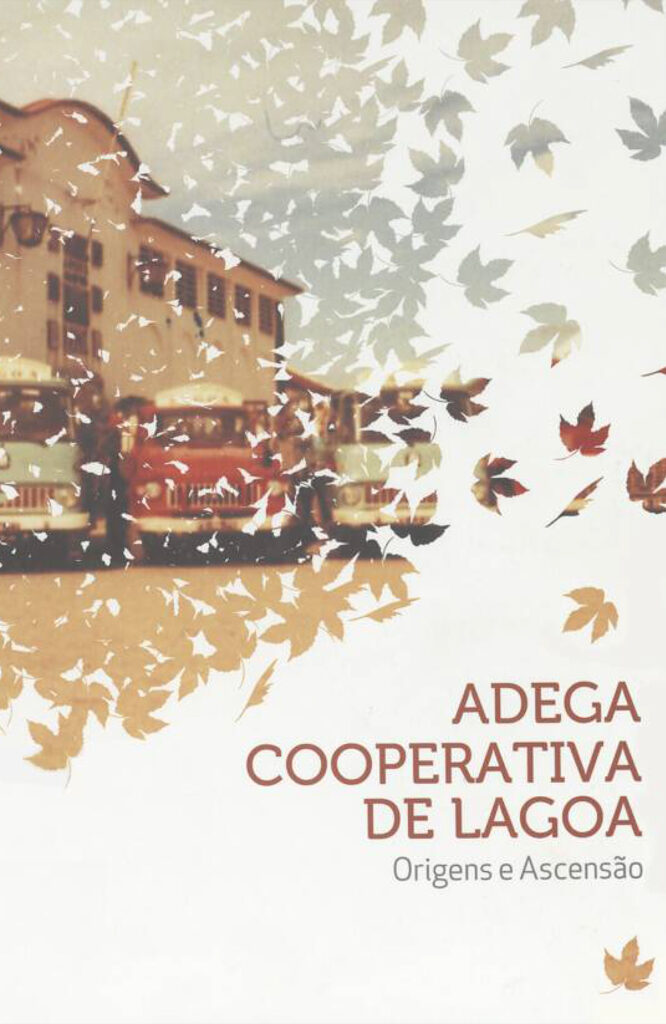 Adega Cooperativa de Lagoa, origens e ascenção
