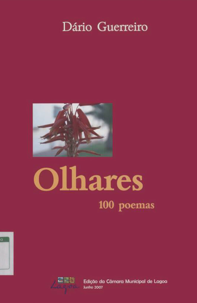 Olhares, 100 poemas